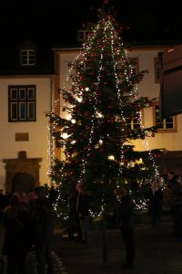 Der Weihnachtsbaum von Bad Münstereifel auf dem Rathausplatz.