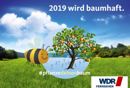 Als Gewinner des WDR Fernsehmagazins "hier und heute" freut sich der Königshovener Quartettverein über seinen Apfelbaum "Kaiser Wilhelm" für die Stadt Bedburg. (Collage: WDR)